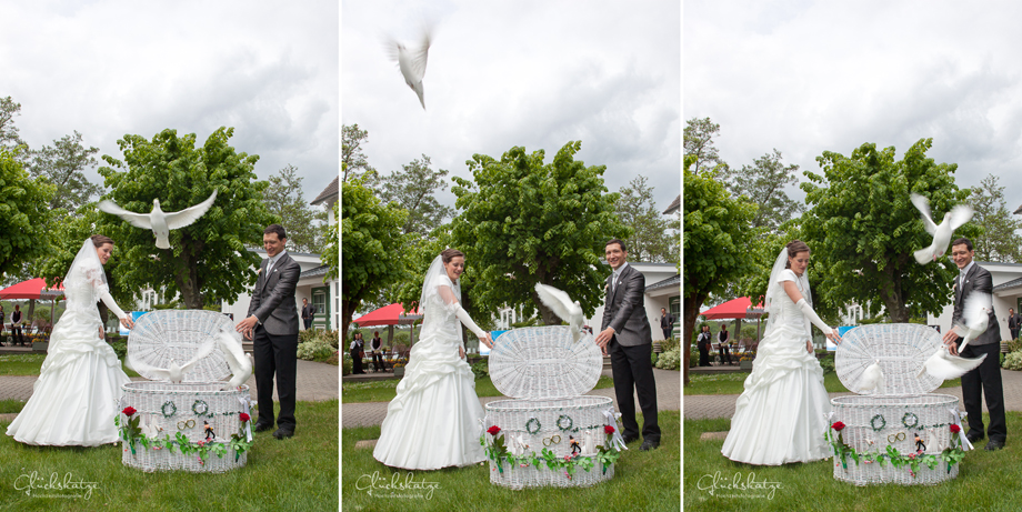 hochzeitstauben lychen glueckskatze