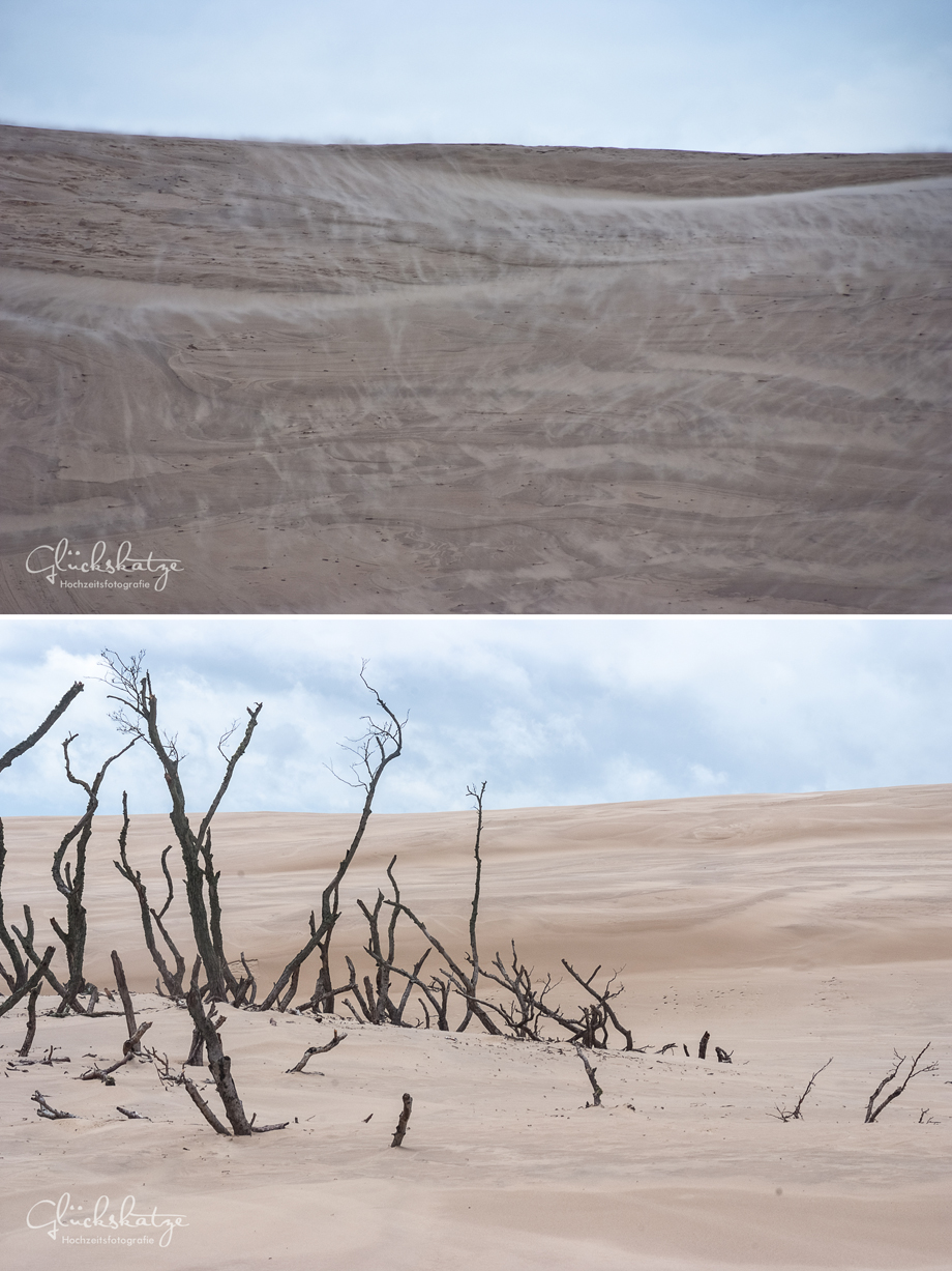 leba dunes sanduenen polen glückskatze