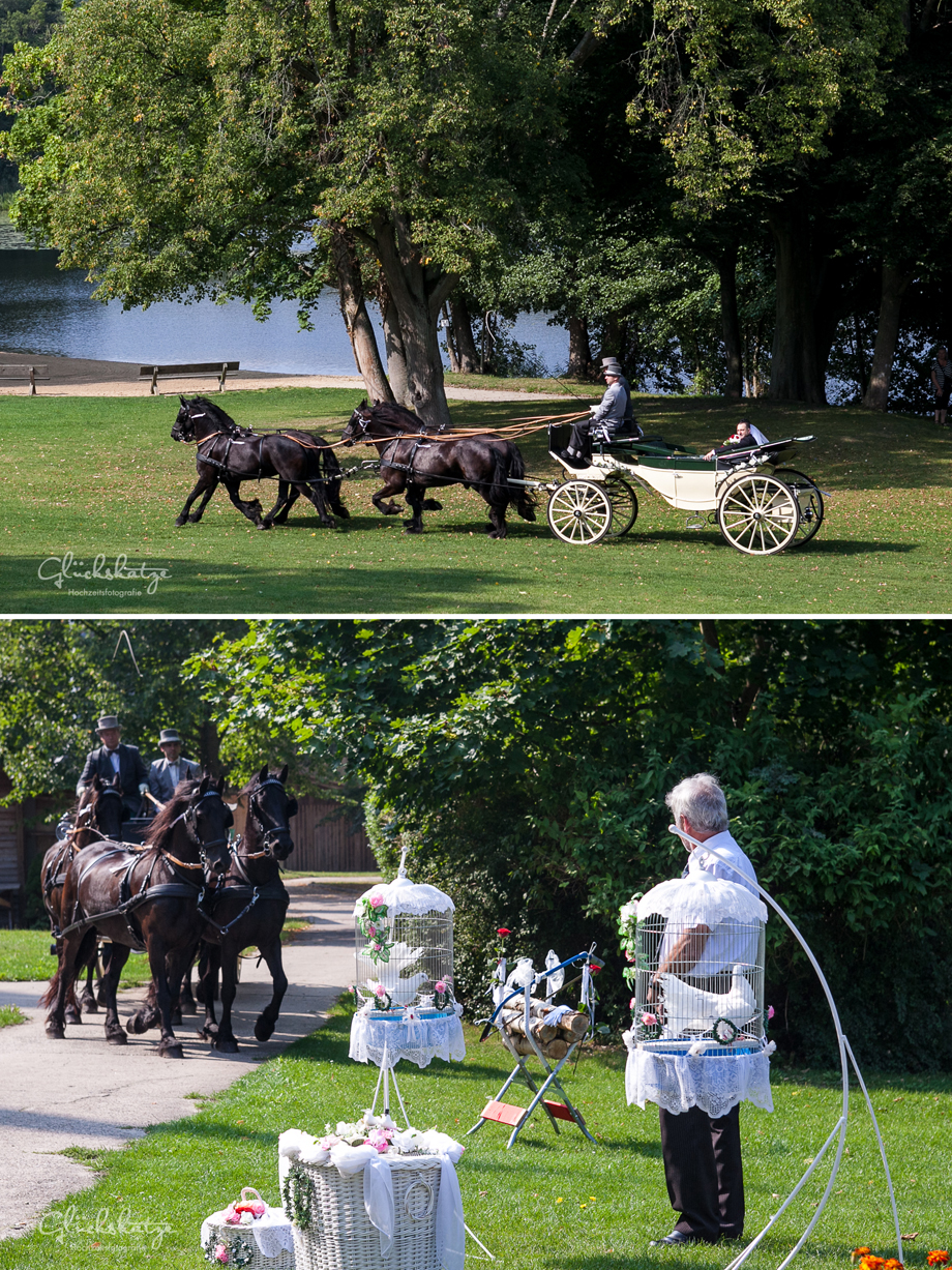 hochzeitskutsche berlin brandenburg glueckskatze